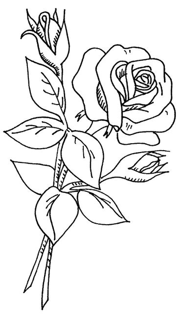 Draw A Rose with Leaves Wb Flowers 2 37 My Designs Coloring Pages Flower Coloring Pages