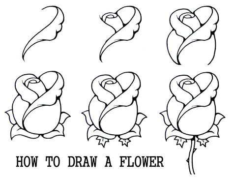 Draw A Rose with Text Collection Of Thousands Of Free Rose Drawing Page From All Over the
