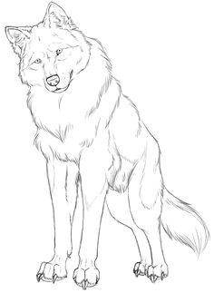 Draw A Sad Wolf Die 73 Besten Bilder Von Wolf Wolf Drawings Draw Animals Und Drawings