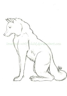 Draw A Sitting Wolf 521 Best Graphite Pencil Drawings Of Fox Images Pencil Drawings