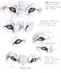 Draw A Wolf Eye Step by Step 146 Best Drawing Aides Images Ideas for Drawing Manga Drawing