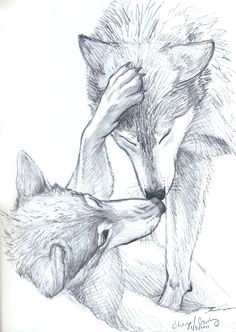 Draw A Wolf In Illustrator 109 Best Wolf Images Wolf Drawings Art Drawings Draw Animals