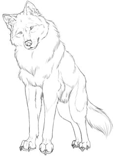 Draw A Wolf Standing 109 Best Wolf Images Wolf Drawings Art Drawings Draw Animals