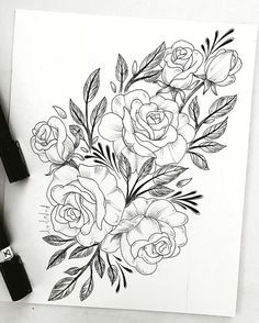 Draw An English Rose 2189 Best English to Memorise Images On Pinterest In 2018