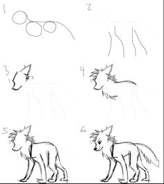 Draw Anime Wolves Step Step 217 Best Cartoon Wolf Images Animal Drawings Sketches Of Animals