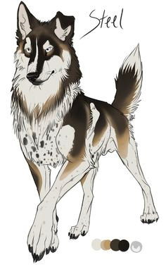 Draw Anime Wolves Step Step 69 Best Anime Wolves Images Drawings Wolves Amazing Drawings