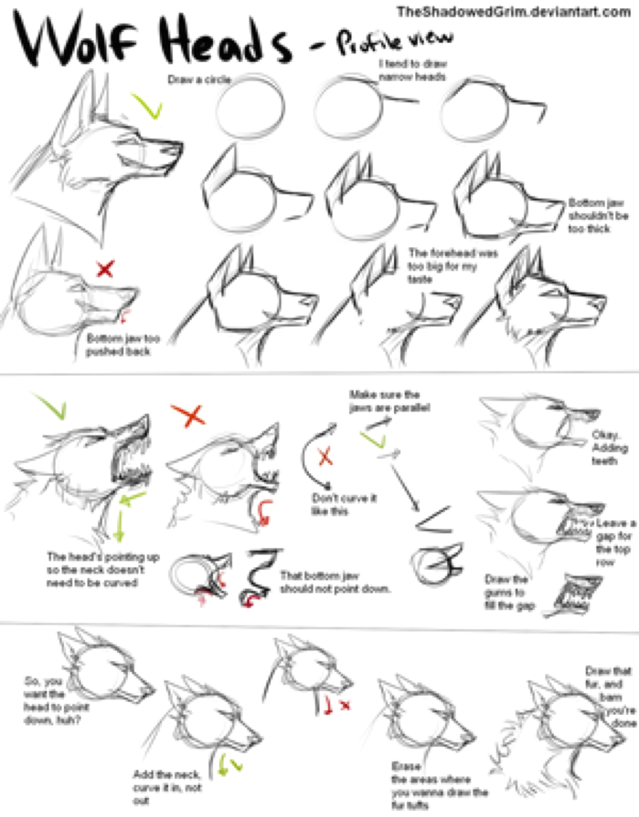 Draw Cartoon Wolf Head How I Draw Wolf Heads by theshadowedgrim On Deviantart Animal