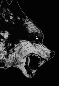 Draw Mad Wolf 180 Best Wolf Drawings Images Drawing Techniques Drawing