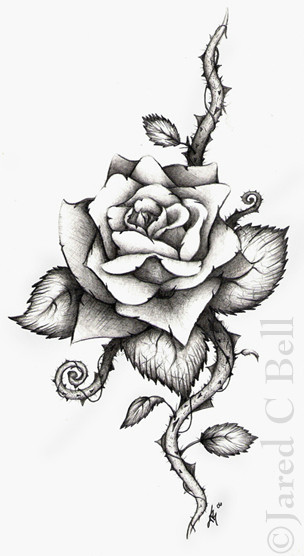 Draw Out A Rose Thorn Rose Tattoo Drawings and Designs Media Art Photography