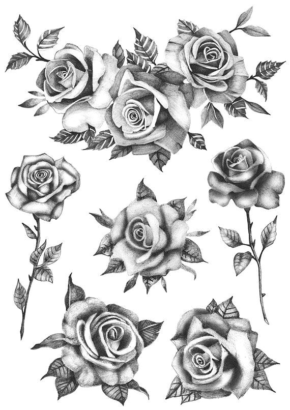 Draw Out A Rose Thorn Roses Flower Set Set Of 6 Temporary Tattoo Realistic Roses