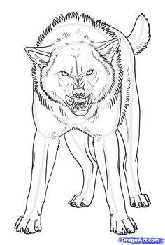 Draw Wolf Angry 2927 Best Drawing Images In 2019 Fantasy Creatures Animal