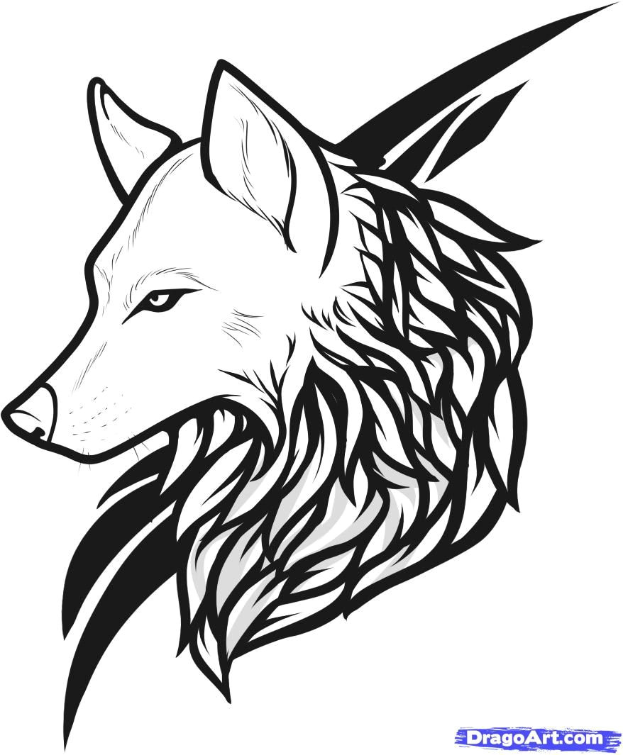 Draw Wolf Head Easy Draw Wolf Tattoo Drawing and Coloring for Kids Tattoos Wolf