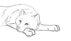 Draw Wolf Laying Down 521 Best Graphite Pencil Drawings Of Fox Images Pencil Drawings