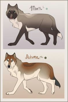 Draw Wolf Oc 48 Best Wolf Oc Images Animal Drawings Drawings Ideas for Drawing