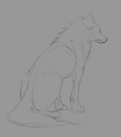 Draw Wolf Sad Die 457 Besten Bilder Von Wolfs Ideas for Drawing Sketches Of