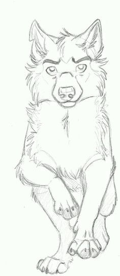 Draw Wolf Sketch 217 Best Cartoon Wolf Images Animal Drawings Sketches Of Animals