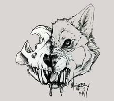 Draw Wolf Skull 24 Best Wolf Skull Images Animal Skulls Skull Bones Skulls