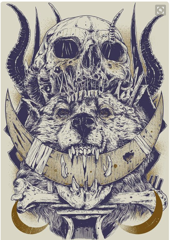 Draw Wolf Skull Pin by Chantelle Richardson On Skull Skull Art Art Draw