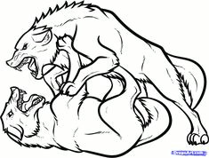 Draw Wolf Standing 180 Best Wolf Drawings Images Drawing Techniques Drawing