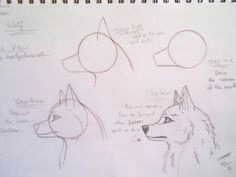 Draw Wolf Standing 180 Best Wolf Drawings Images Drawing Techniques Drawing