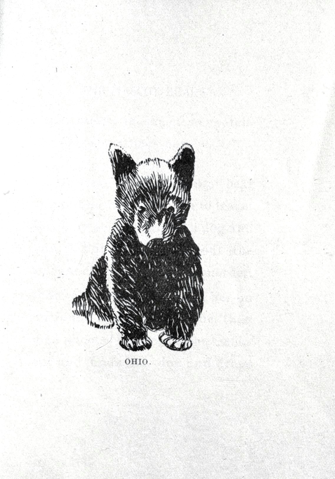 Drawing 011 Animal Bear Baby Bear Drawing 011 Brandon Bear Tattoos