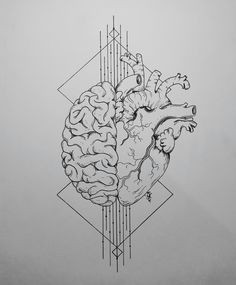 Drawing 101 Reddit 117 Best Chiropractic Artwork Images Skulls Anatomy Art Drawings