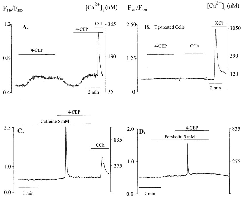 Drawing 2 Insulins 4 Cep Releases Ca 2 From Er In Beta Cells Ca 2 I Was Measured In