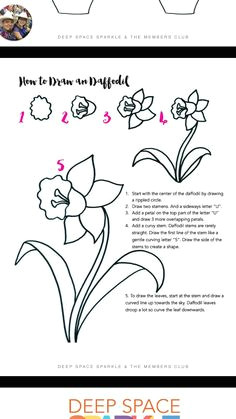 Drawing 2d Flowers 442 Best 2d Creating Flora Images In 2019 Flower Designs Learn