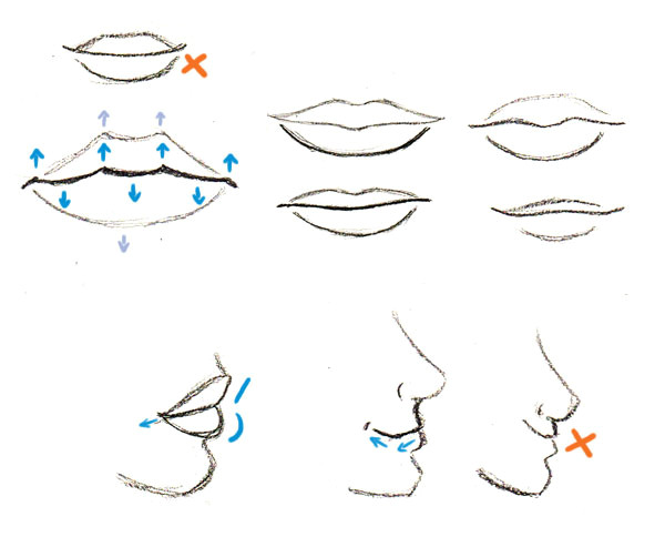 Drawing 3 4 View Body Human Anatomy Fundamentals Basics Of the Face