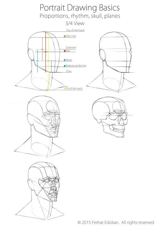 Drawing 3 4 View Pin by E I I On I Eµ Pinterest Drawings Anatomy Drawing and