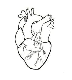 Drawing 3 Hearts How to Draw A Heart Science Drawing Lesson Drawing Ideas 3 In