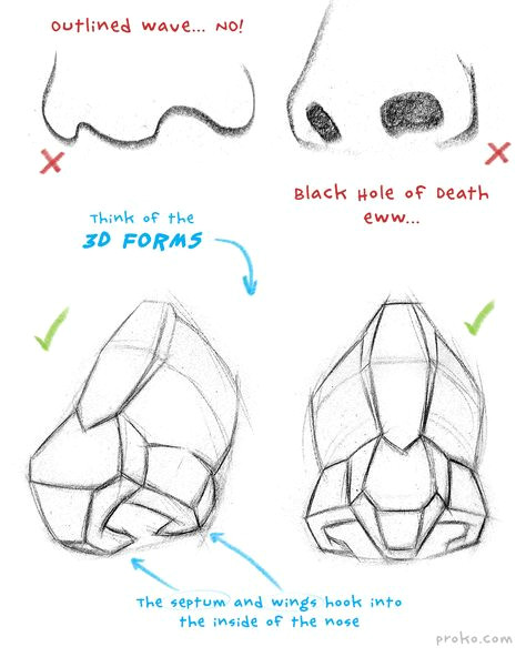 Drawing 3d forms How to Draw A Nose Anatomy and Structure Paintings Drawings