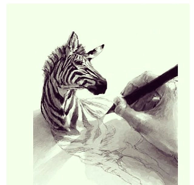 Drawing 3d Things 3d Zebra Crafty Drawings Art Art Drawings