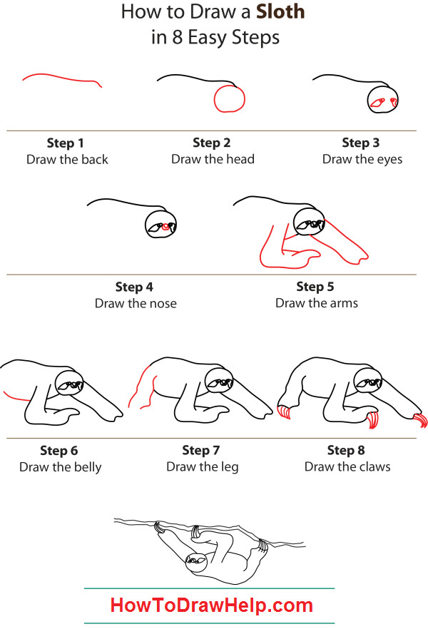 Drawing 4 6 Draw How to Draw A Sloth Step by Step Belt is Our Favourite Character