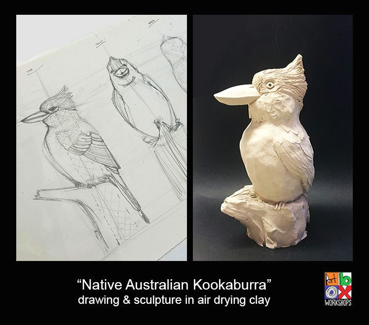 Drawing 4 Year Old Thursday 1st October for Kids 8 12 Years Old Kookaburra