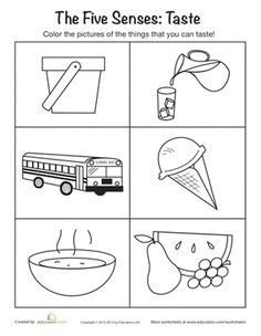 Drawing 5 Senses 158 Best My Five Senses Images 5 Senses Activities Five Senses