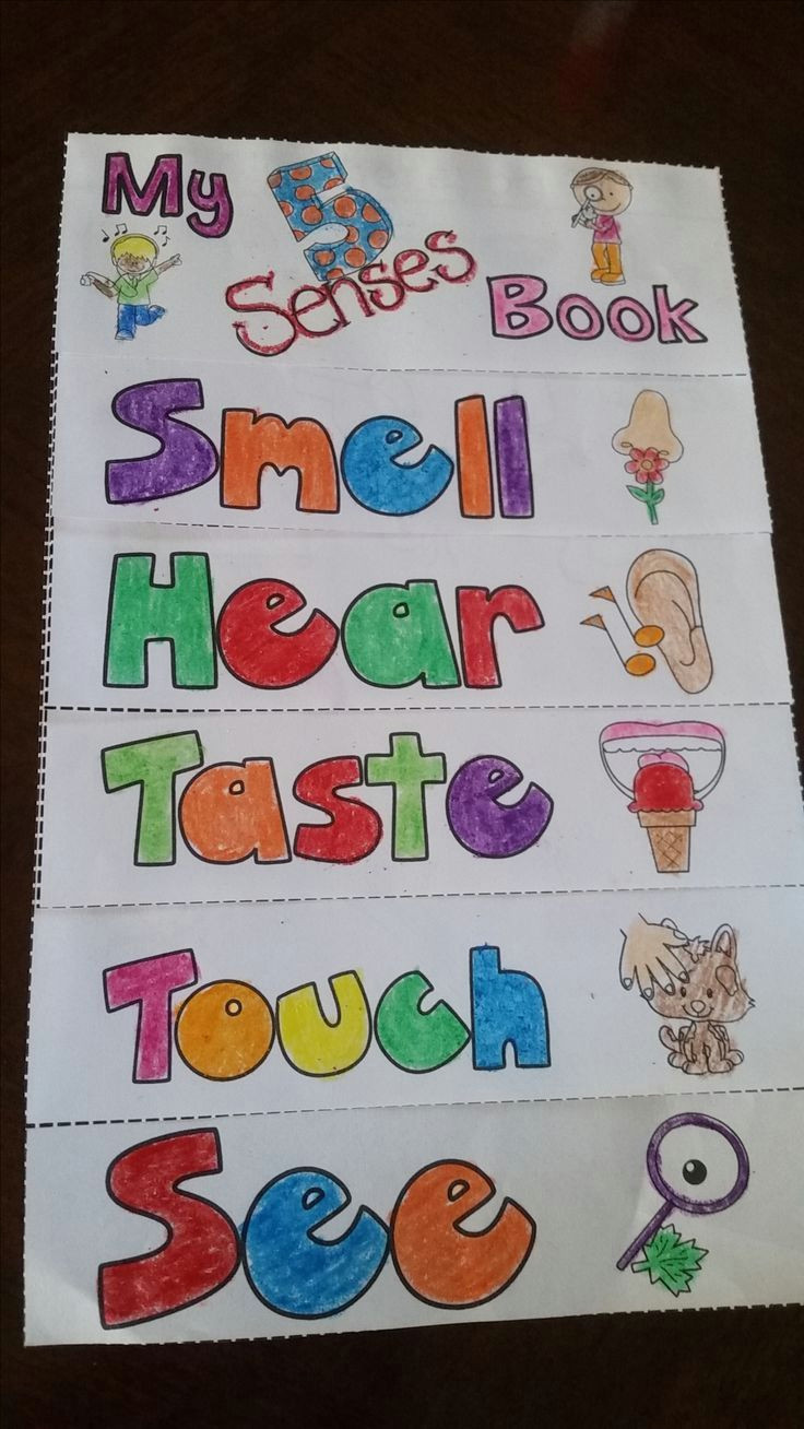 Drawing 5 Senses 5 Senses Printables and Flip It Books Language Arts K 2 Classroom