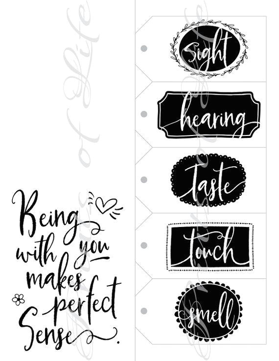 Drawing 5 Senses Five Senses Gift Tags Card Instant Download Printable Diy