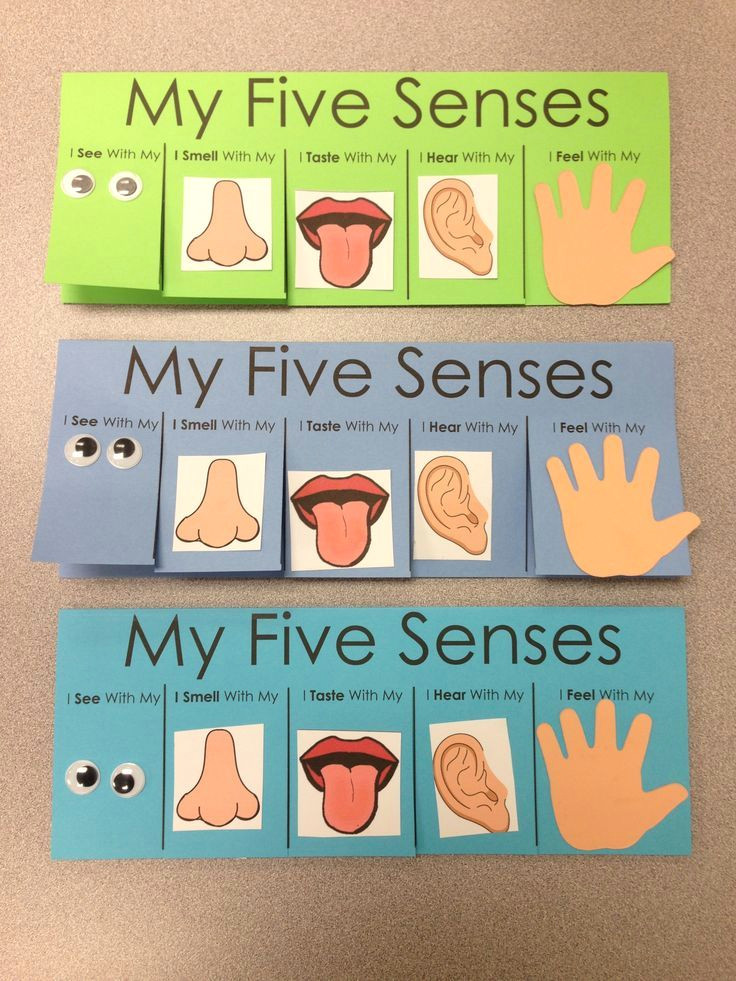 Drawing 5 Senses Pin by Sheryl Teaching 2 and 3 Year Olds On Five Senses