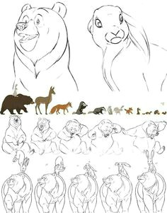 Drawing 50 Animals 50 Best Bear Sketches Images Animal Drawings Bear Sketch Bear Art