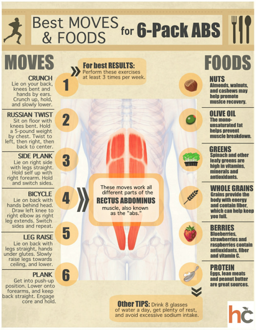 Drawing 6 Pack Abs How to Get 6 Pack Abs Workout and Diet Fitneass Fitness