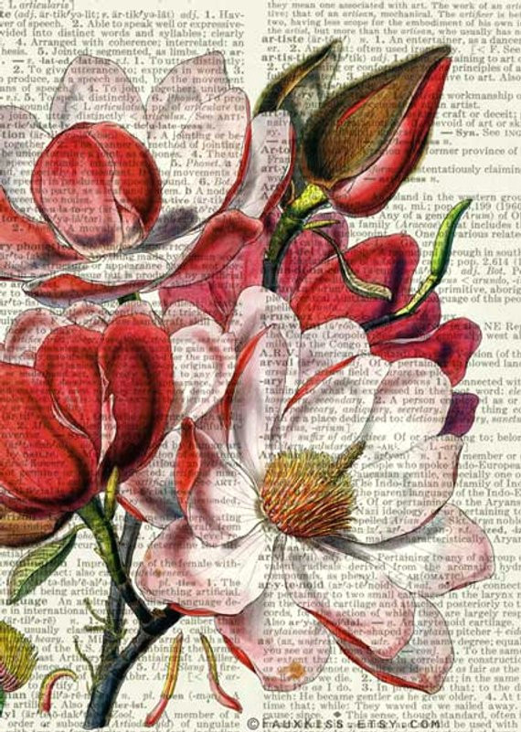 Drawing 6 Petal Flower Magnolia Dictionary Page Print Products Artwork Art Flower Artwork