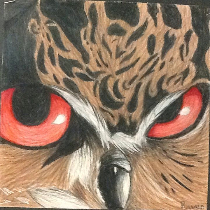 Drawing 6th Class Less Talk More Art A Middle School Art Ed Blog 7th Grade Owl