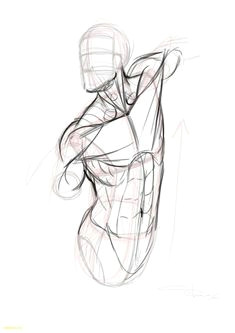 Drawing 7 Heads How to Draw Neck Muscles form Constructive Head Pinterest