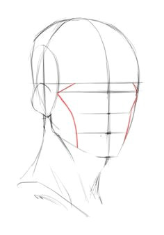 Drawing 7 Heads How to Draw Neck Muscles form Constructive Head Pinterest