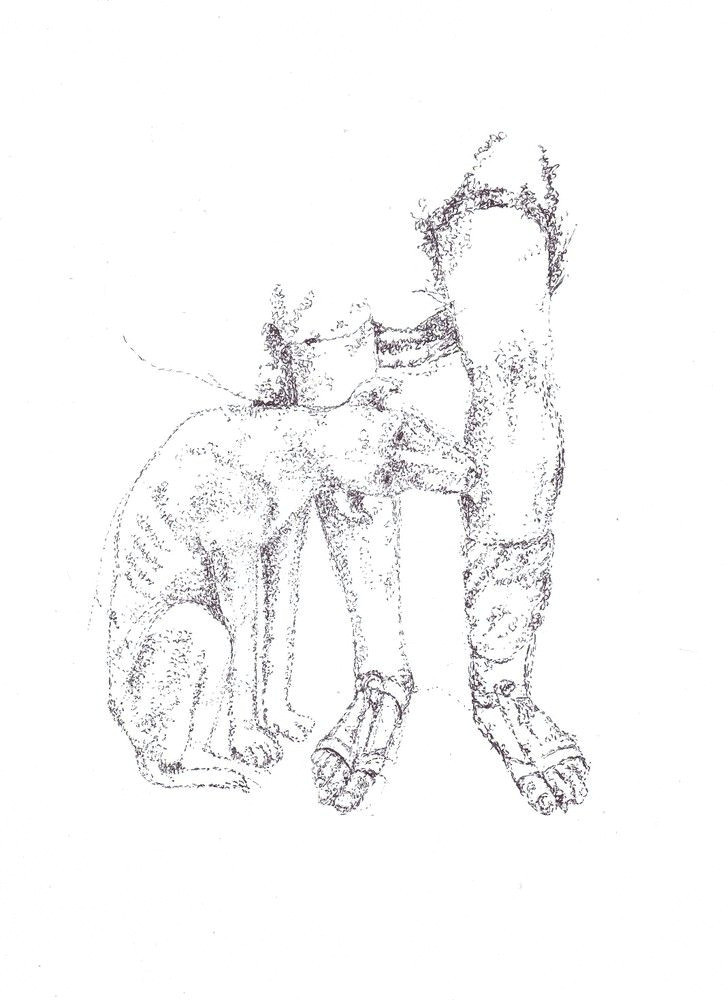 Drawing 7 Standard Man S Best Friend by Rodney Englefield Ball Point Pen Drawing On