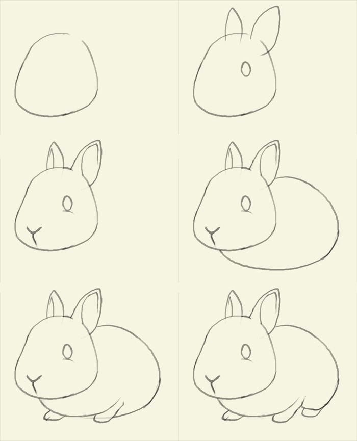 Drawing 7 Steps How to Draw Bunny Learn to Draw A Cute Bunny Step by Step Images