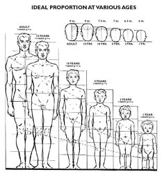 Drawing 7 Year Old 155 Best Character Construction Images Drawings Anatomy Drawing