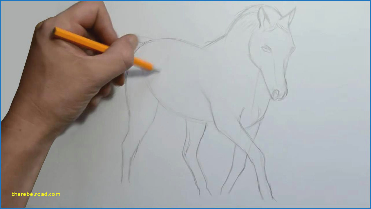 Drawing 9f Horse Drawing