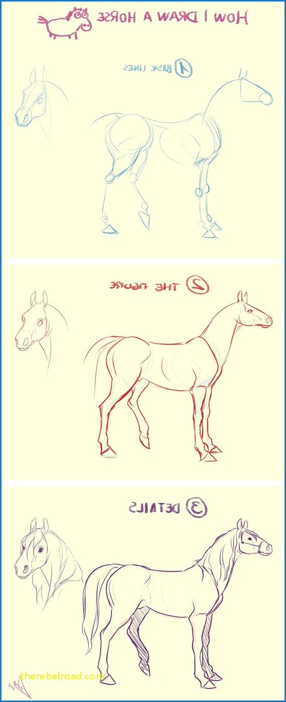 Drawing 9f Horse Drawing